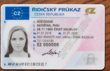 Past na řidiče. Kvůli propadlému dokladu můžete narazit doma i v cizině